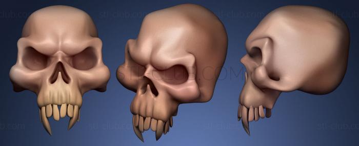 3D модель Череп с большими клыками (STL)
